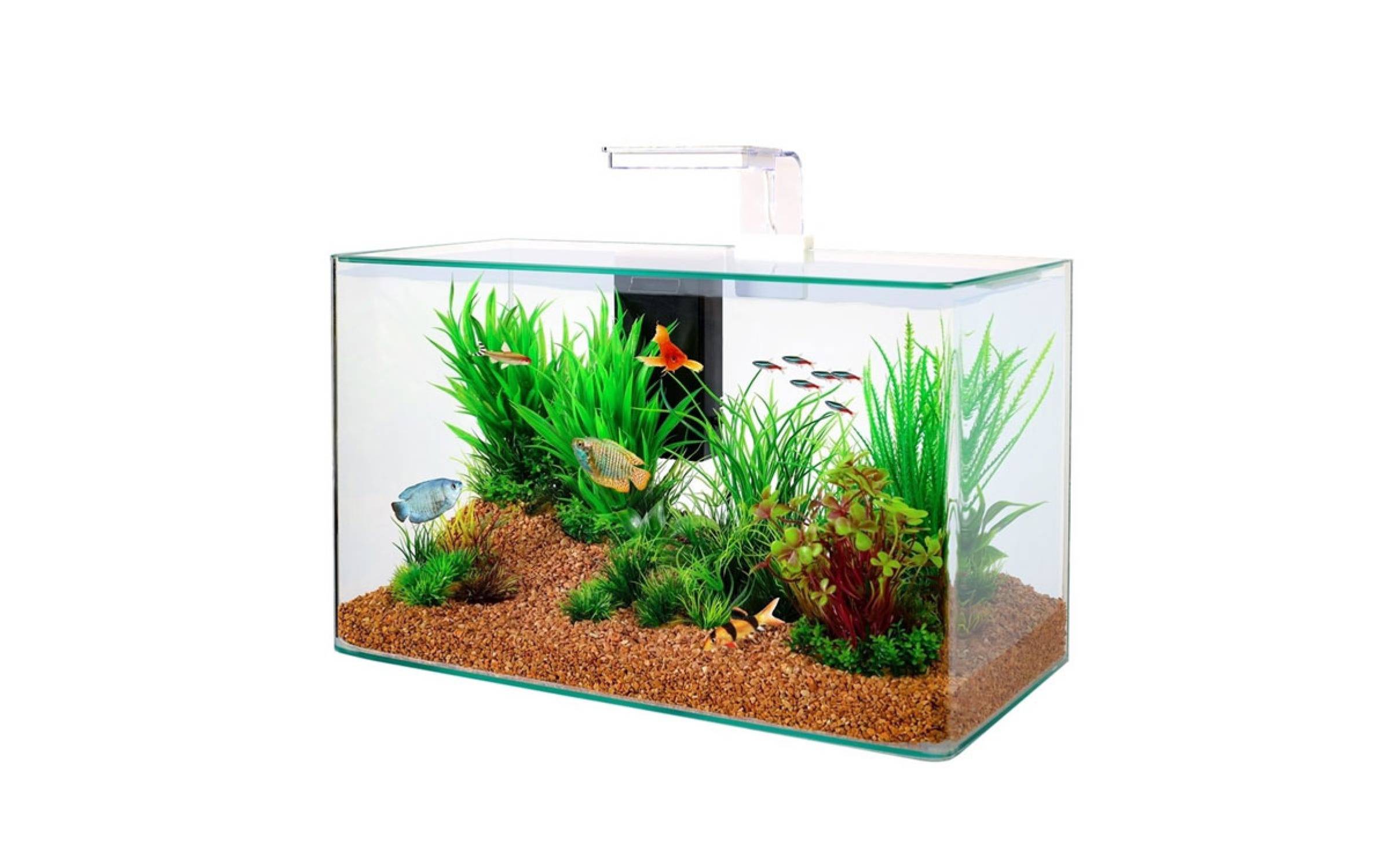 Aquariums Clear - Zolux