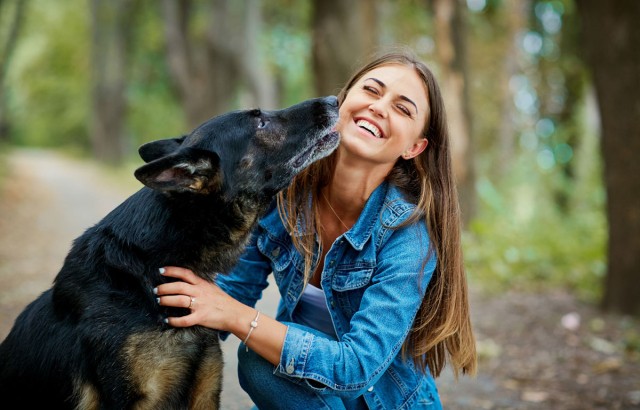 do dogs give kisses