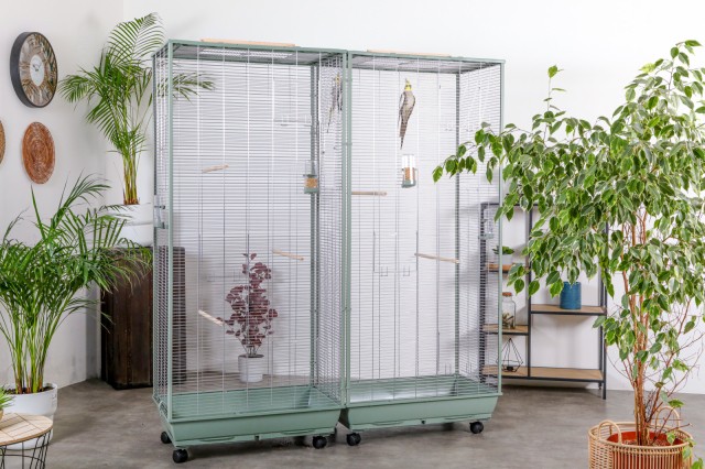 Connectable aviaries - Neolife-Connect