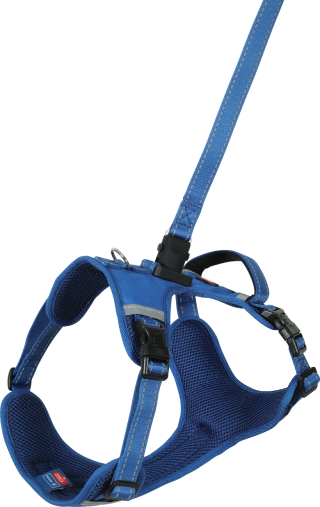 Kit Harnais et laisse chien fermeture rapide