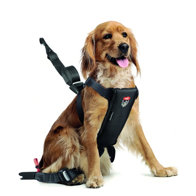 Car safety harness for dogs