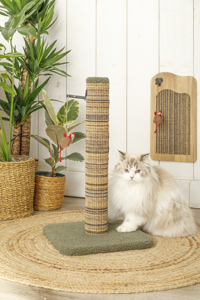 Boreal Cat Scratching Mats