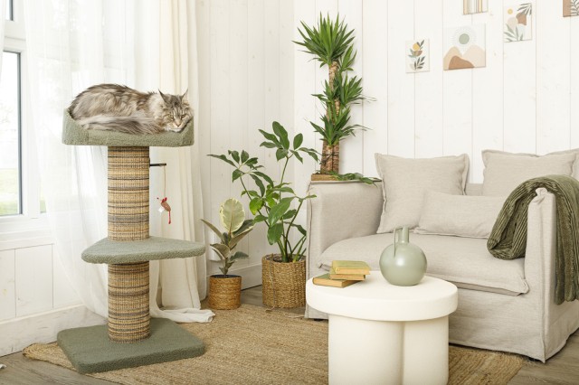 ZOLUX Boreal cat tree for larger cats