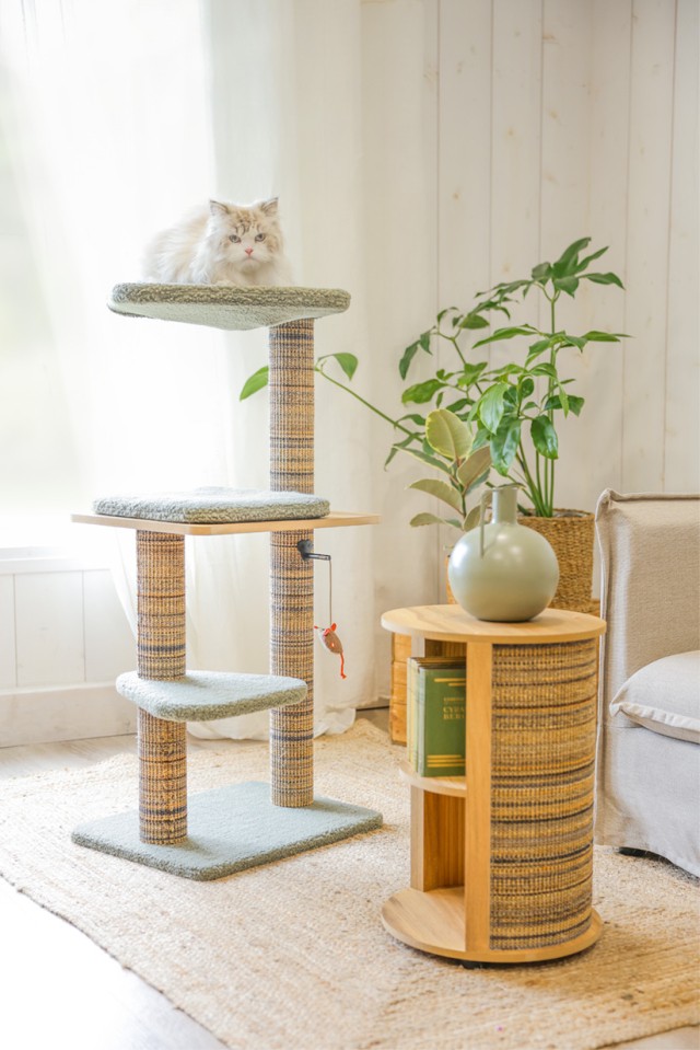 Zolux Boreal cat tree and sofa table