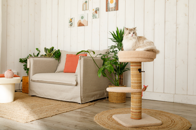 Zolux Boreal 70 cm cat tree