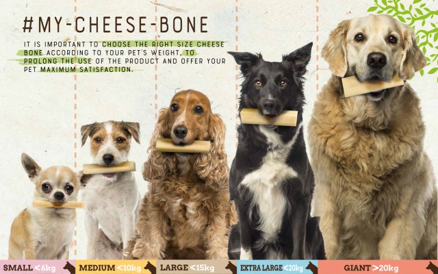 Cheese bones sizes