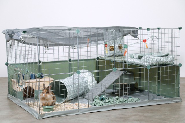 modular rabbit playpen