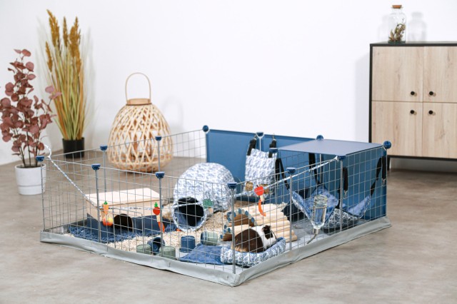 modular playpen for guinea pigs
