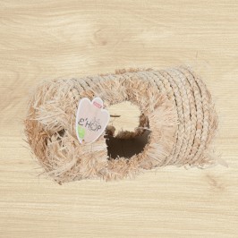 EHOP corn leaf tunnel