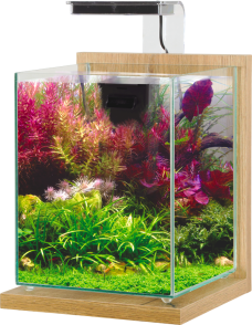 Kit aquarium Jalaya XL coloris chêne clair Zolux – 25 x 25 x 30 cm : Zolux  ZOLUX animalerie - botanic®