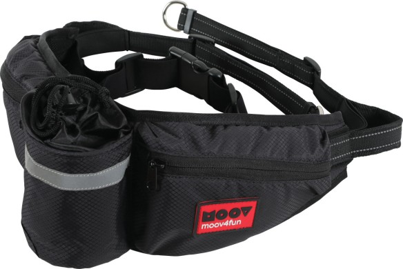 Jogging Belt