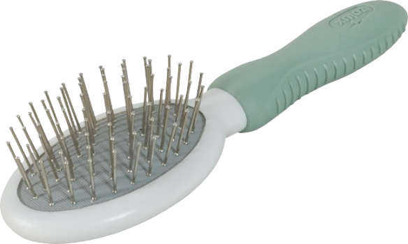 Pneumatic brush