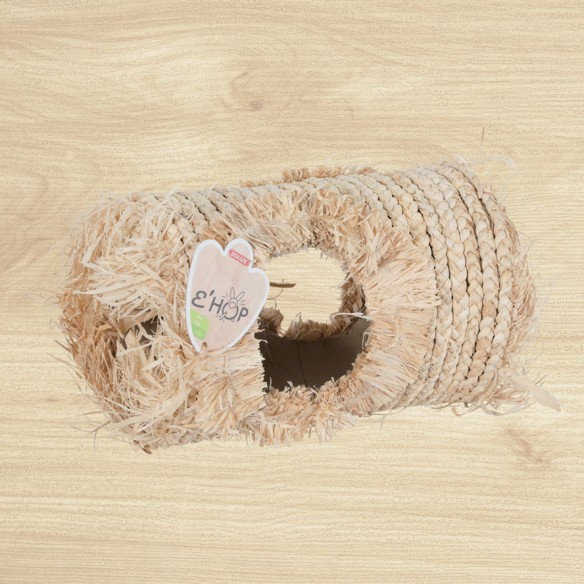 EHOP corn leaf tunnel