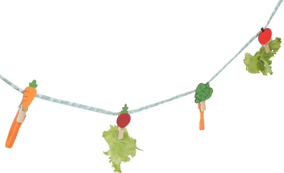 NEOLIFE RABBIT TREATS ROPE