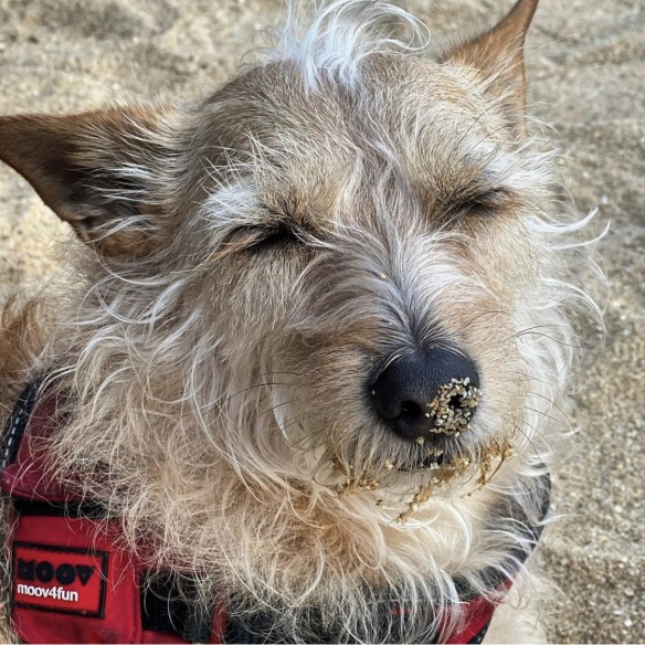 Community picture number 4