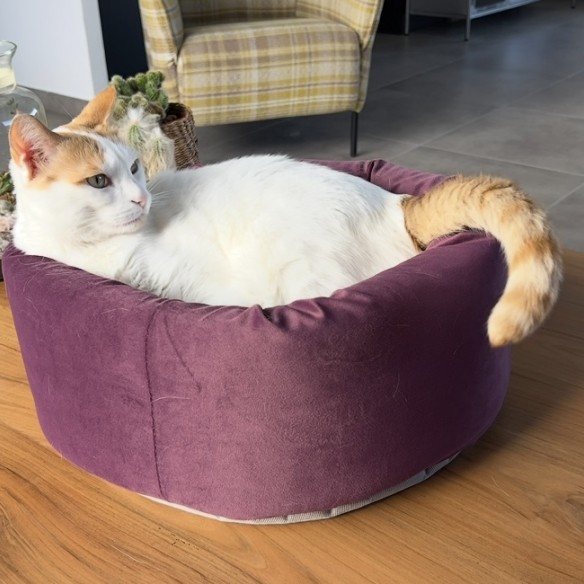 Community picture number 3