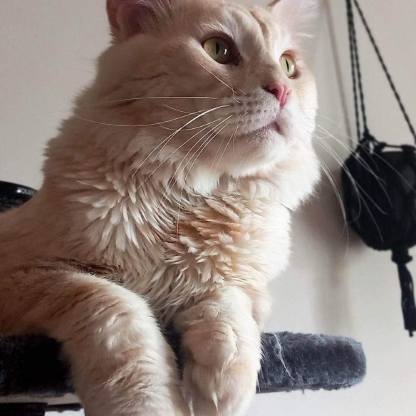 Community picture number 2