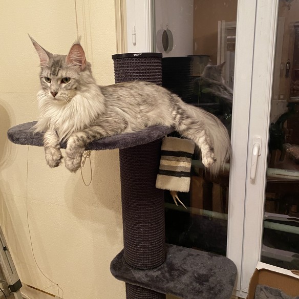 Community picture number 1