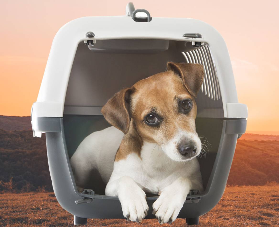 ZOLUX Gulliver Metal Pet Carrier