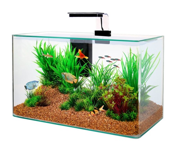 Zolux - Aquarium enfant blanc 18L - Aquarium - Rue du Commerce