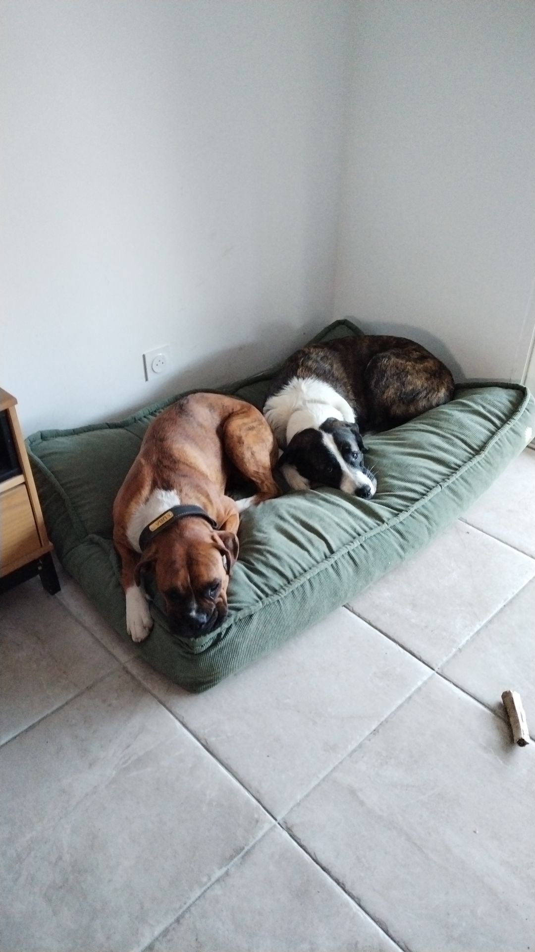 Community picture number 280