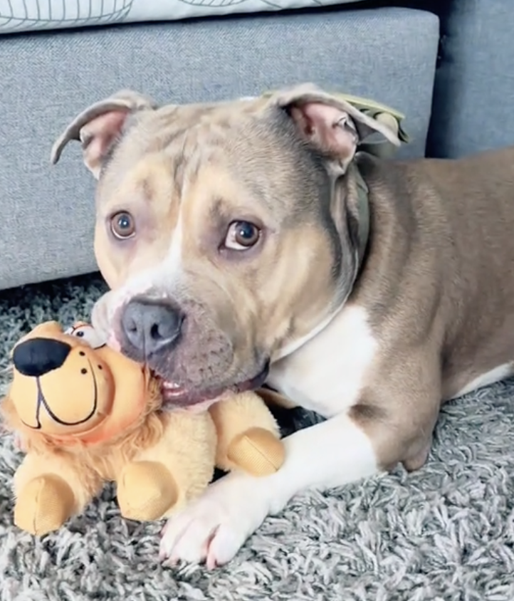 Community picture number 287