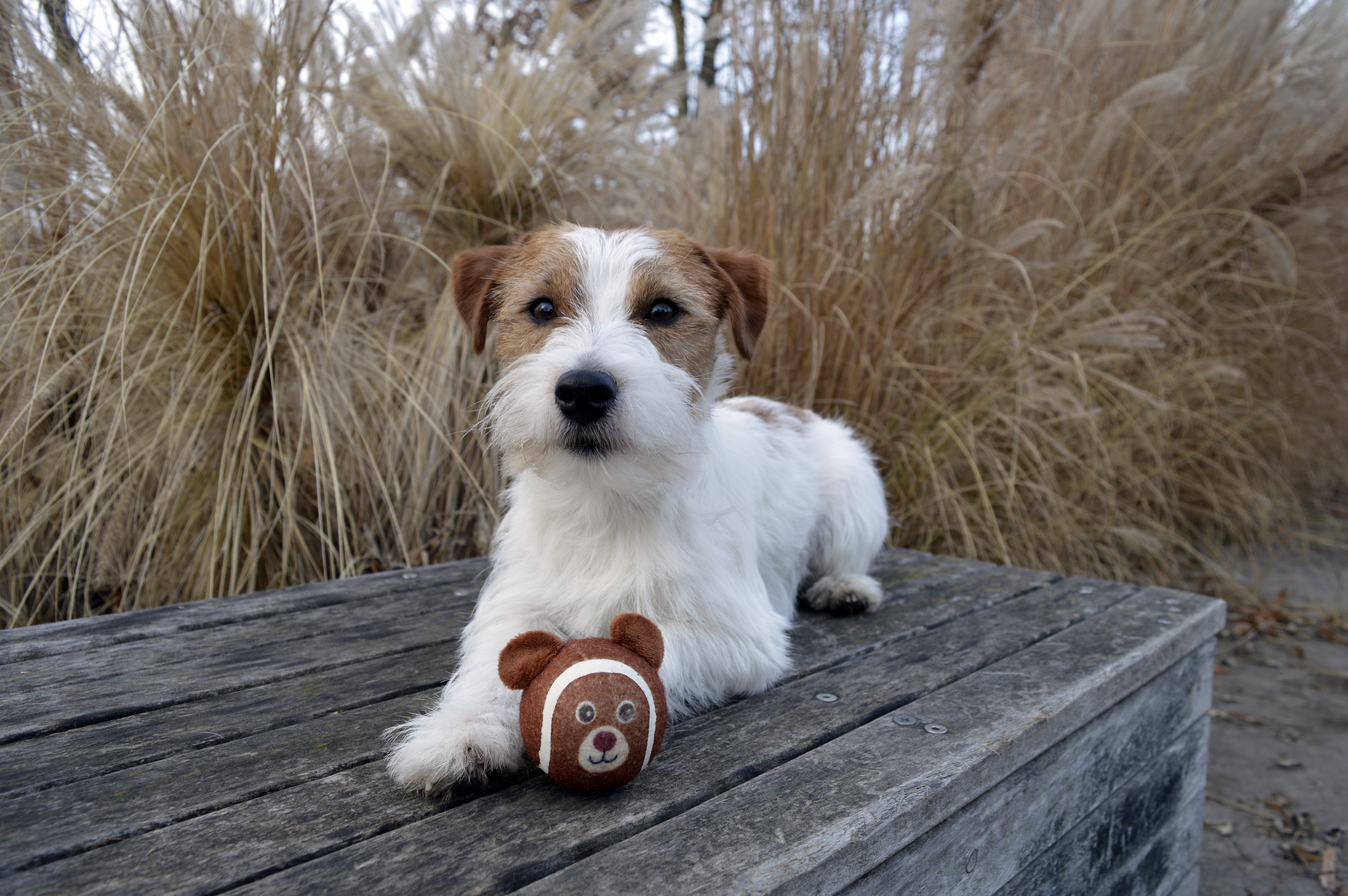 Community picture number 288