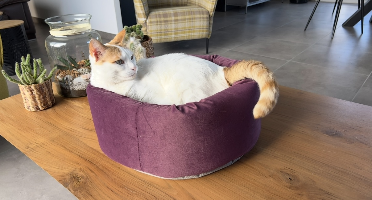 Community picture number 289