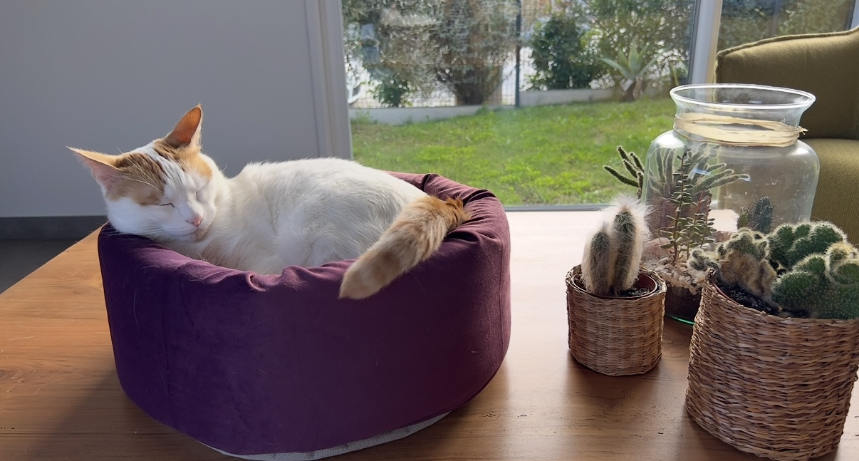 Community picture number 290