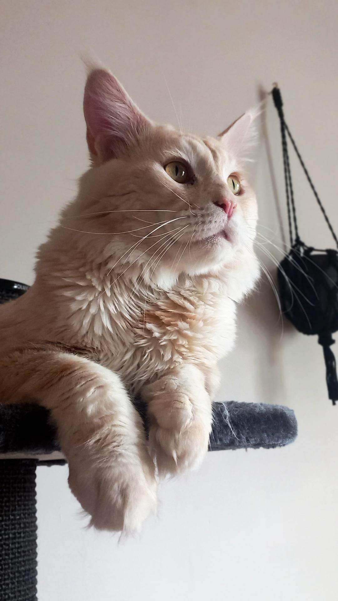 Community picture number 292