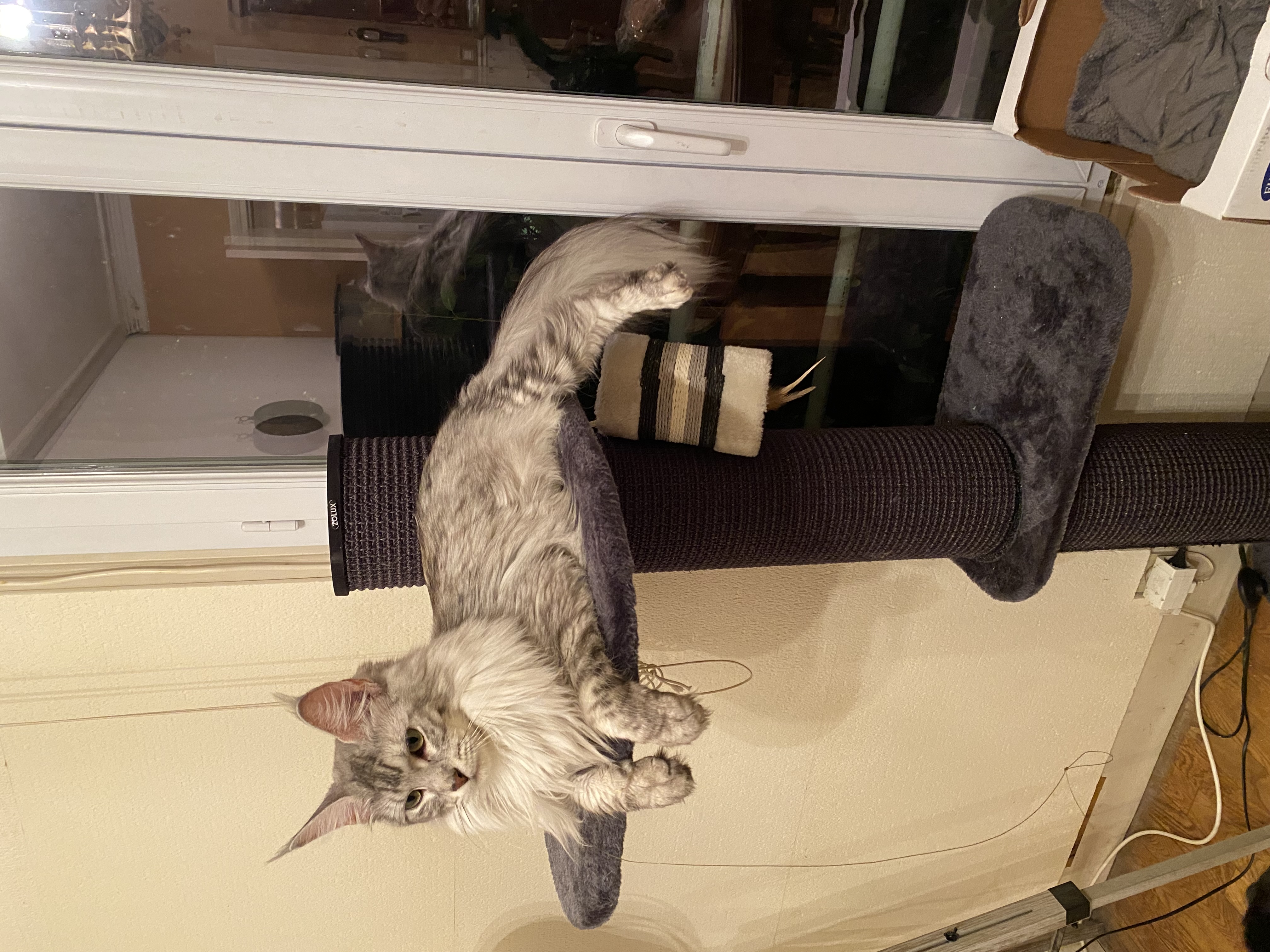 Community picture number 293