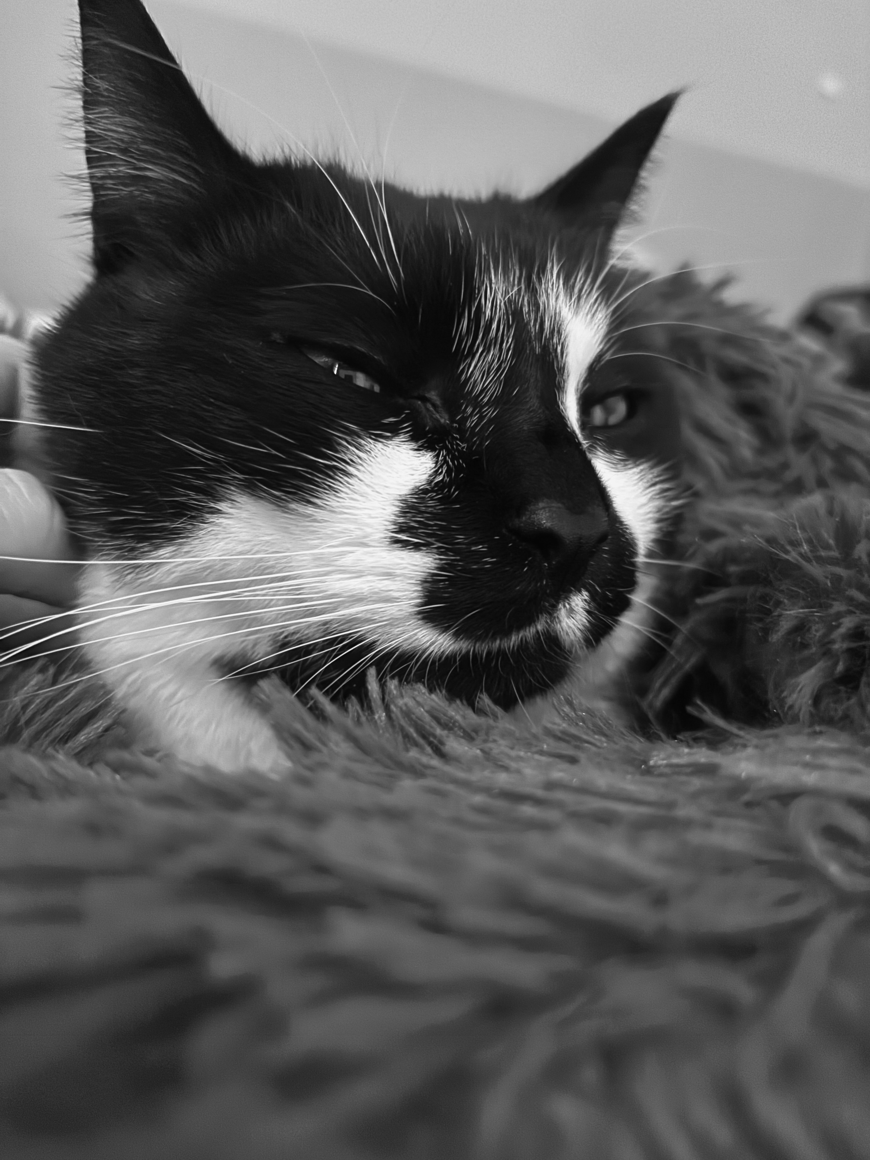 Community picture number 294