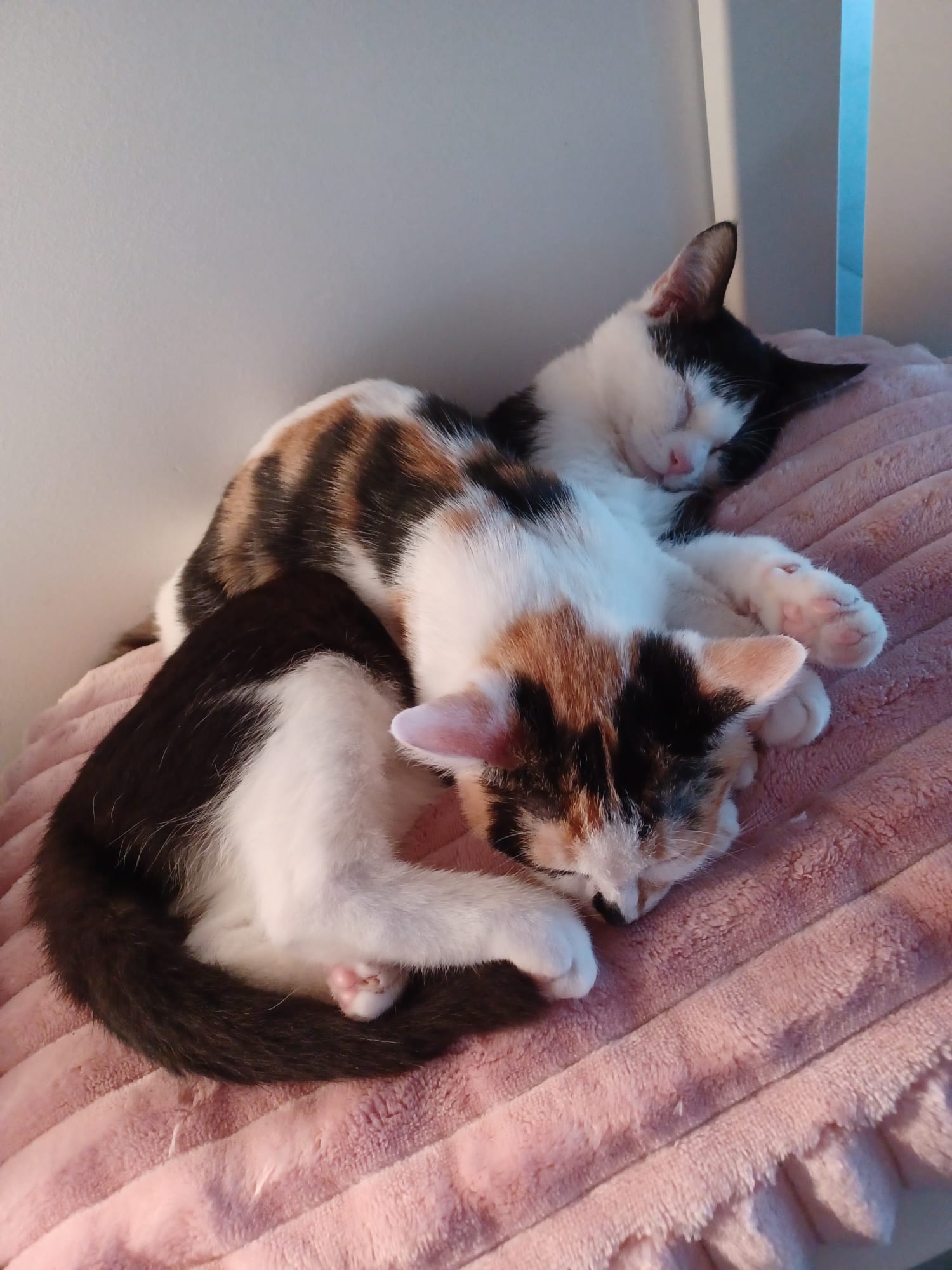 Community picture number 298