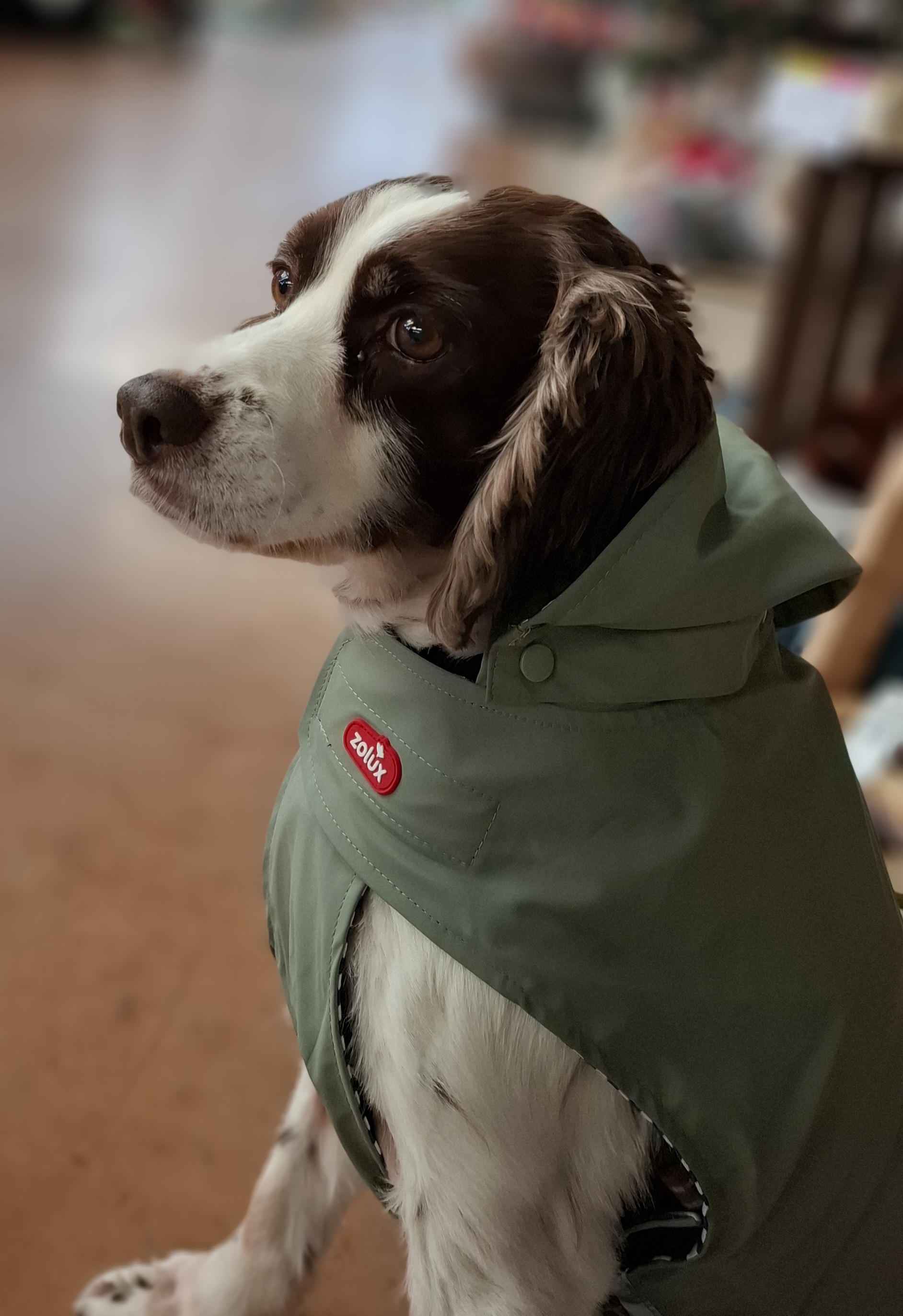 Community picture number 307